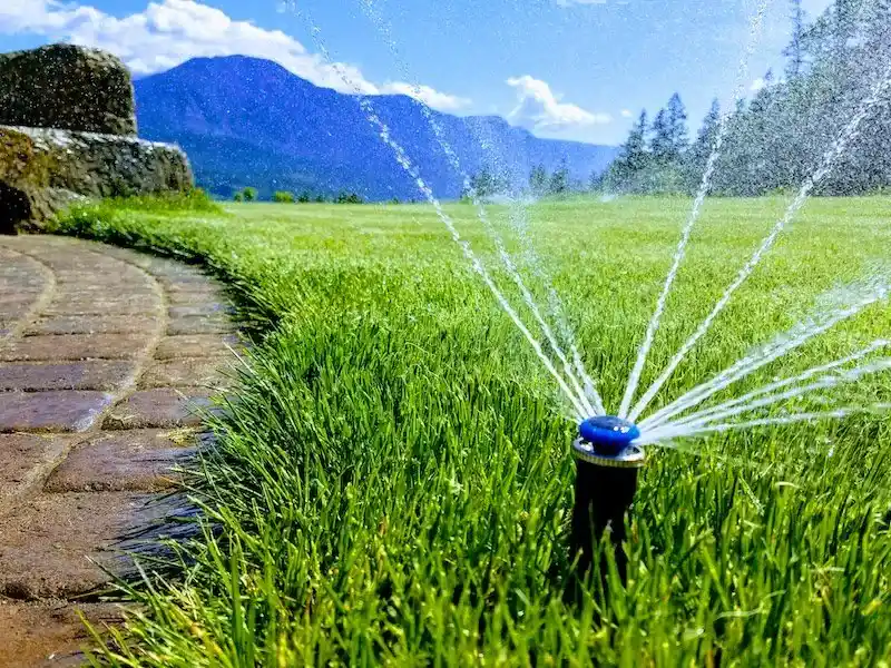 Sprinkler System Installation | Expert Services