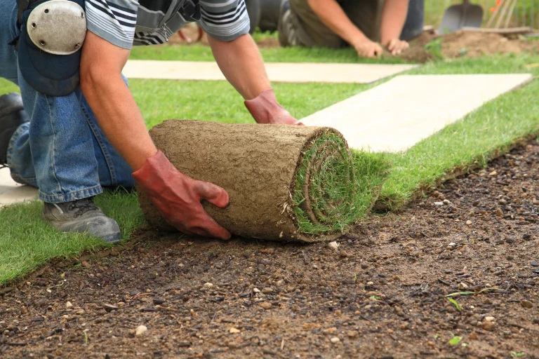 Top Sod Installers in Dallas, Texas | Turf Green Pro
