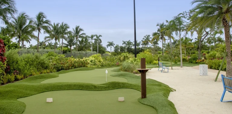 Synthetic Grass Putting Green: Perfect for Backyard Golf