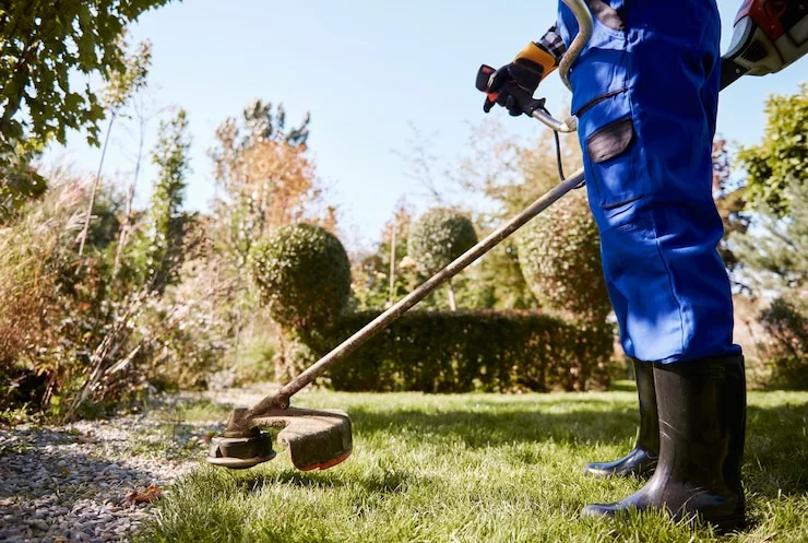 Top Lawn Care and Landscaping Company in Dallas