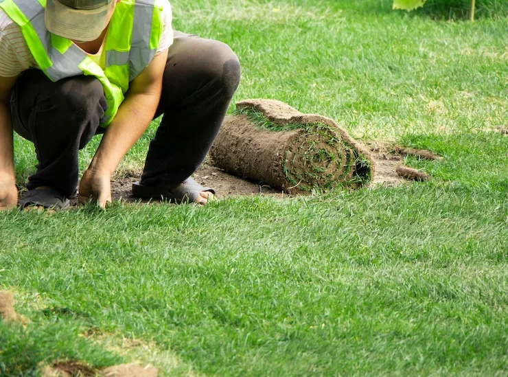 Fast & Reliable Lawn Installation | Turf Green Pro