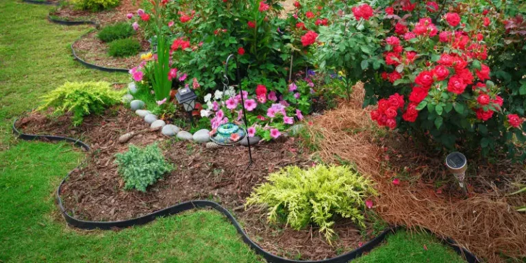Professional Landscaping Services | Enhance Your Property