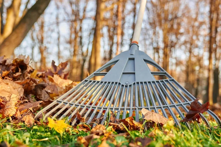 Professional Fall Clean-Up for Your Yard | Turf Green Pro