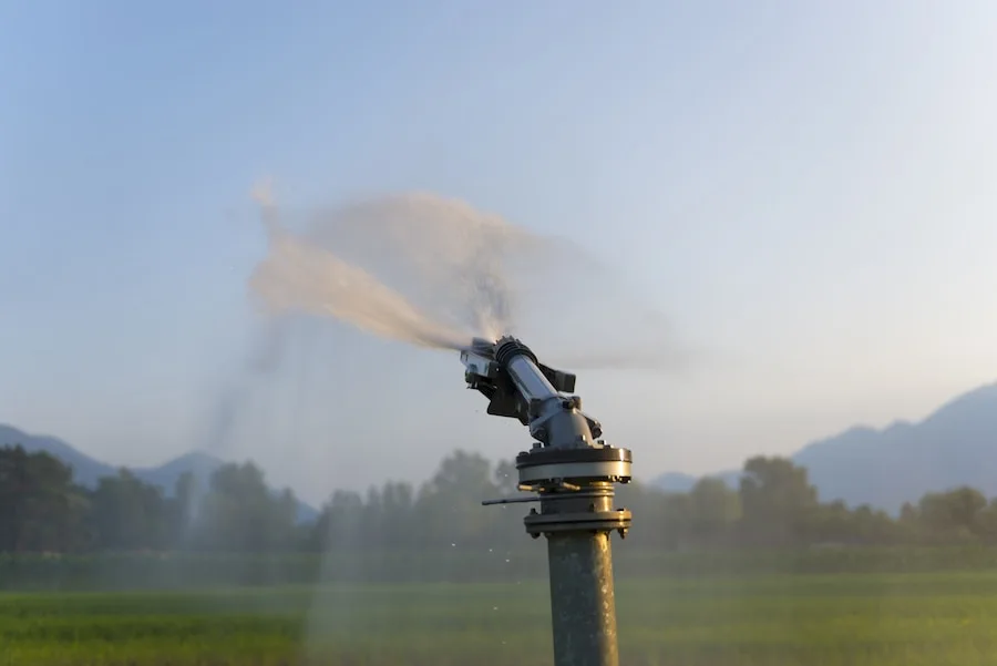 Automatic Sprinkler System | Installation Services in Dallas